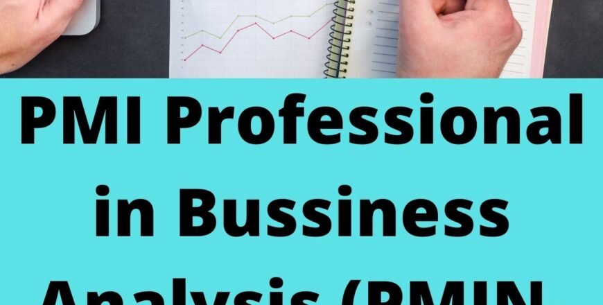 PMI-Professional-in-Bussiness-Analysis-PMIN-PBA-Practice-Exam-Test-Sets